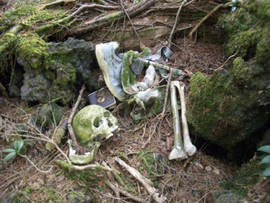 Aokigahara Forest - Body Remains