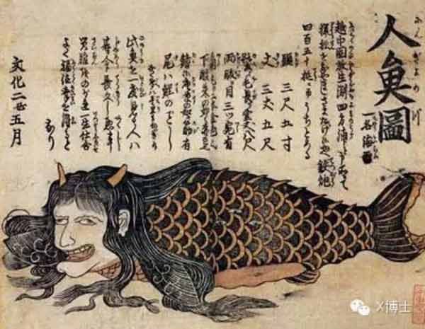 Physical Attributes Of Japanese Mermaids