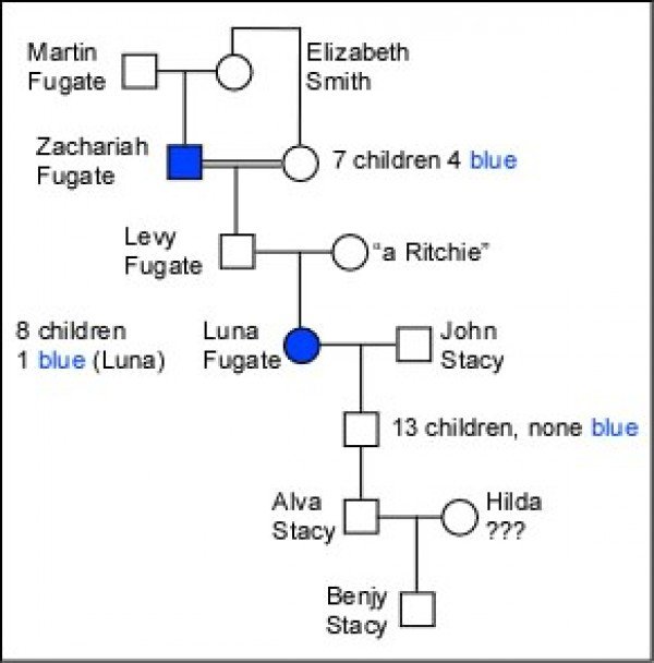 The Blue Skinned People Family Tree