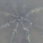 Mysterious Metal Starfish Found Off Rhode Island Coast